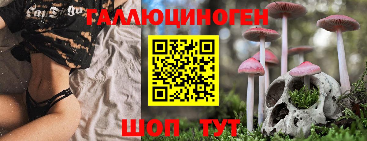 Галлюциногенные грибы GOLDEN TEACHER Сунжа